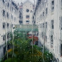 雨絲輕繞“嘉園”夢