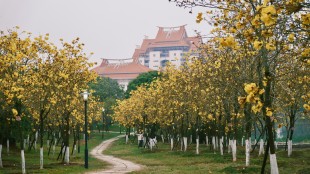 思“嘉園”，頌“嘉”景，憶“嘉”人，懷“嘉”事