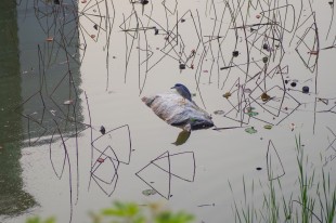 “嘉園”春日