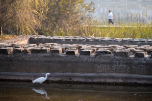 “嘉園”精靈競(jìng)自由