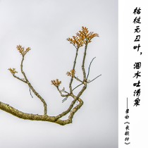 黃葉頌詩(shī)文